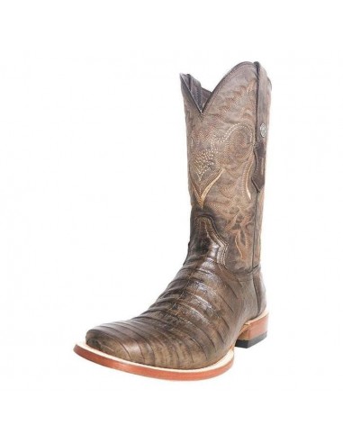 Tanner Mark Nicotine Caiman Print Men's Boots la colonne vertébrale